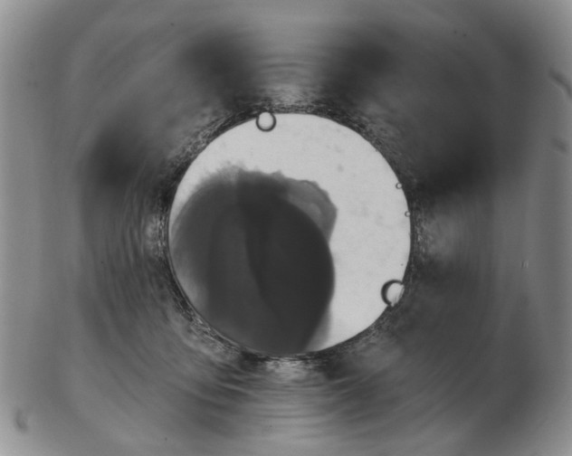 X0000102800419200809081116