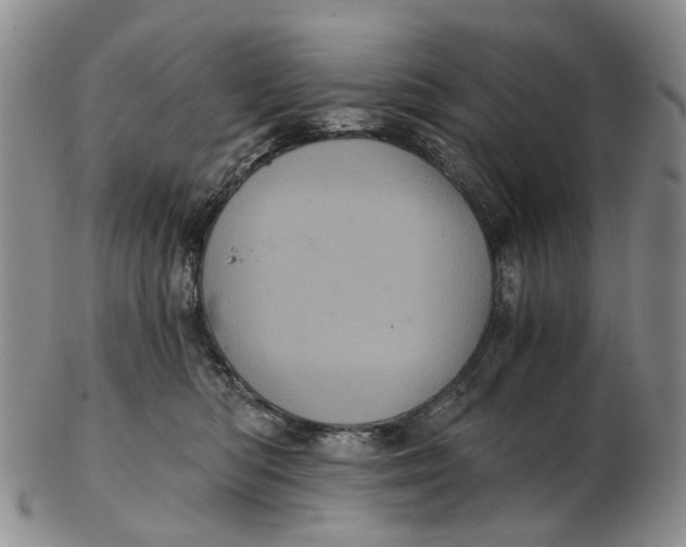 X0000102800422200809081116