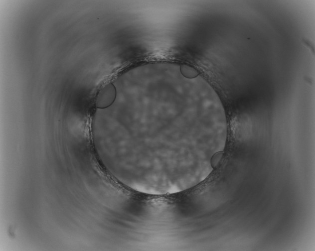 X0000102800423200809081116