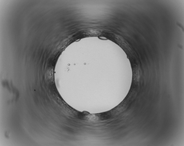 X0000102800425200809081116