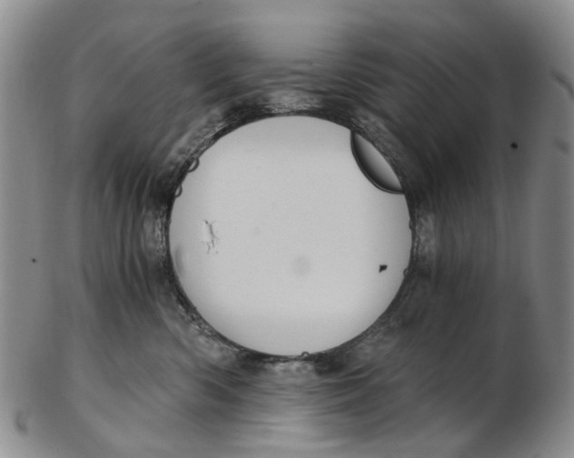 X0000102800426200809081116