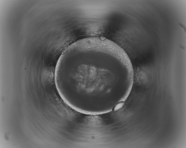 X0000102800427200809081116