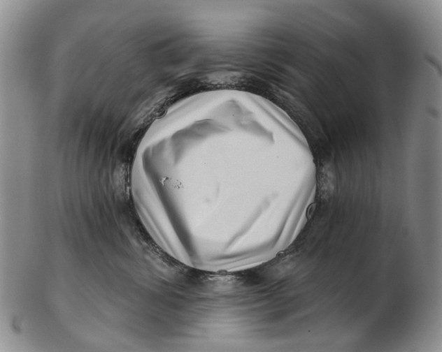 X0000102800428200809081116