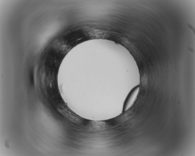 X0000102800429200809081116