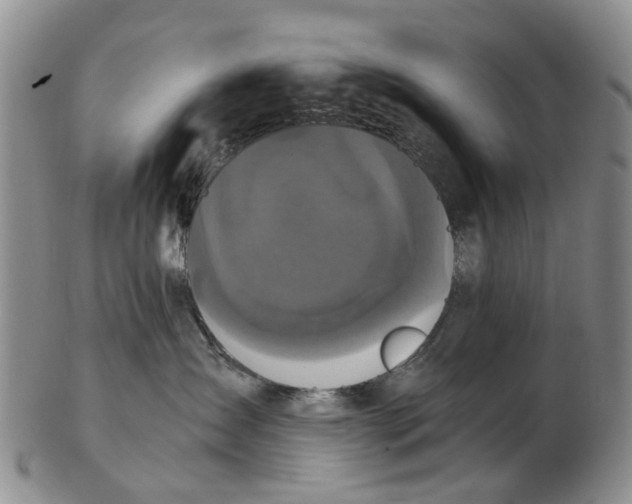 X0000102800431200809081116