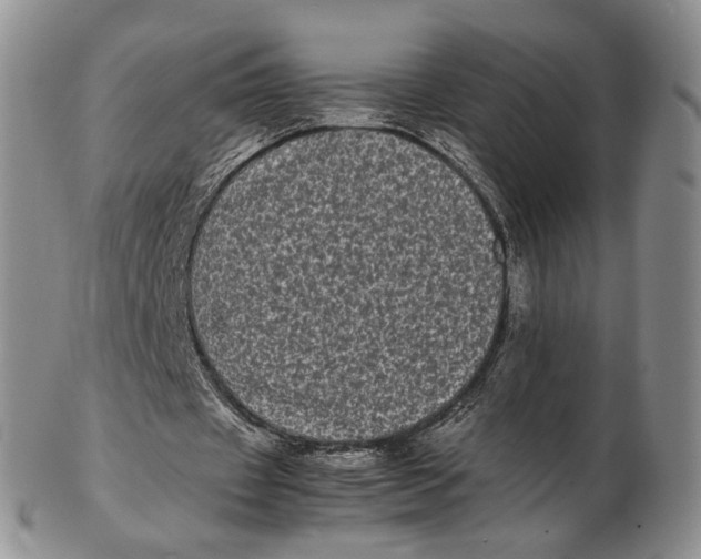 X0000102800433200809081115