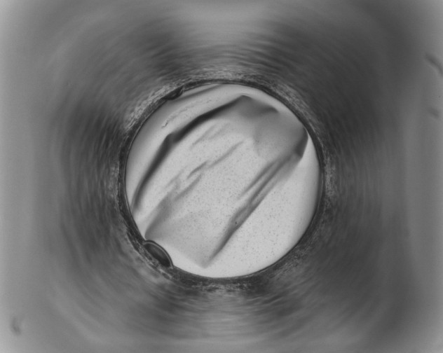 X0000102800434200809081115