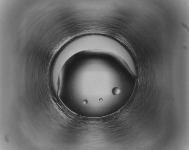 X0000102800436200809081115