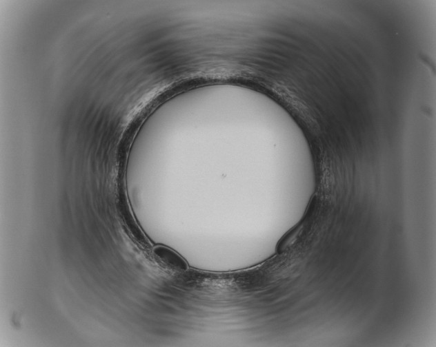 X0000102800440200809081115