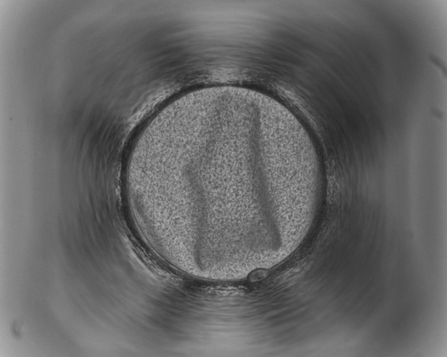 X0000102800443200809081115