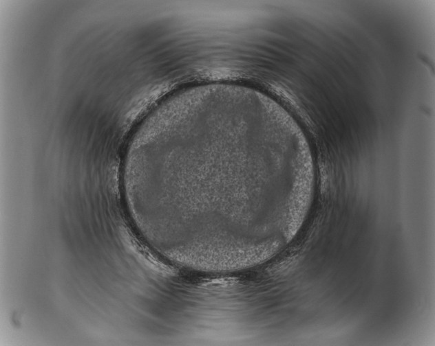 X0000102800447200809081115