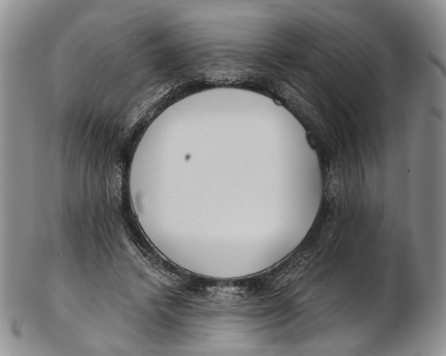 X0000102800448200809081115