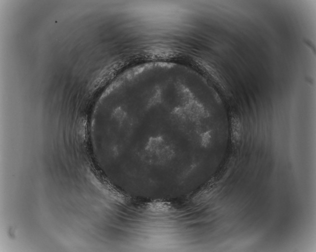 X0000102800451200809081115