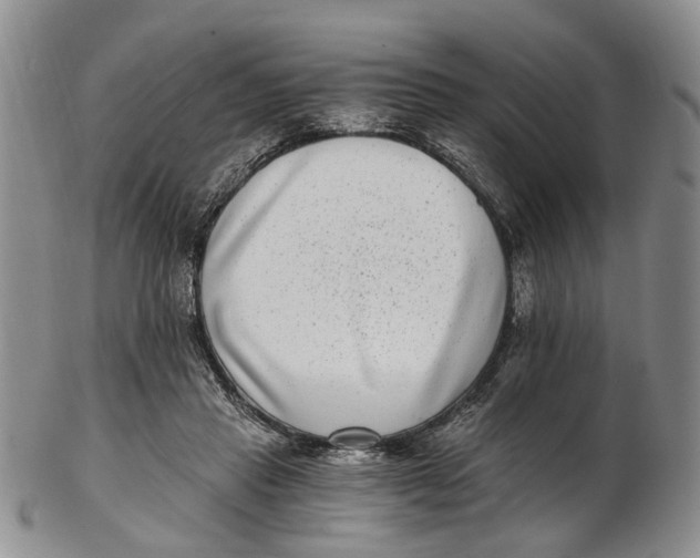 X0000102800453200809081115