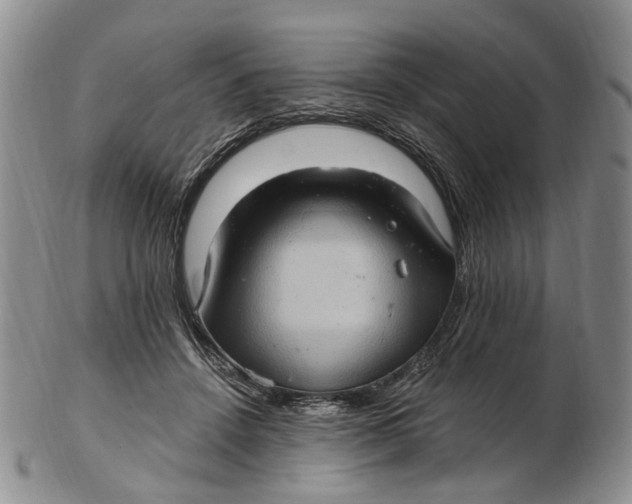 X0000102800456200809081116