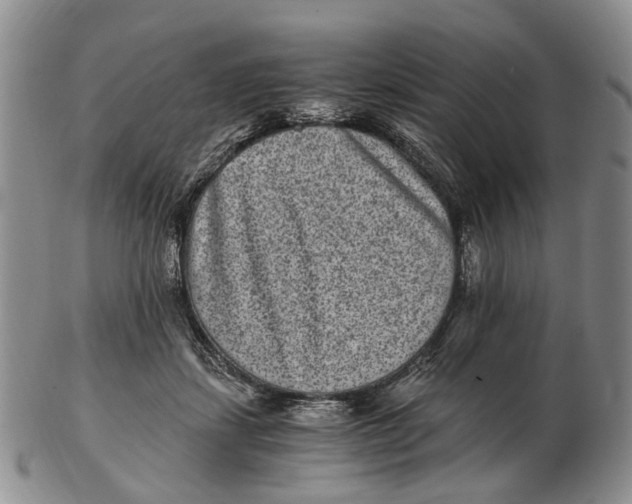 X0000102800459200809081116