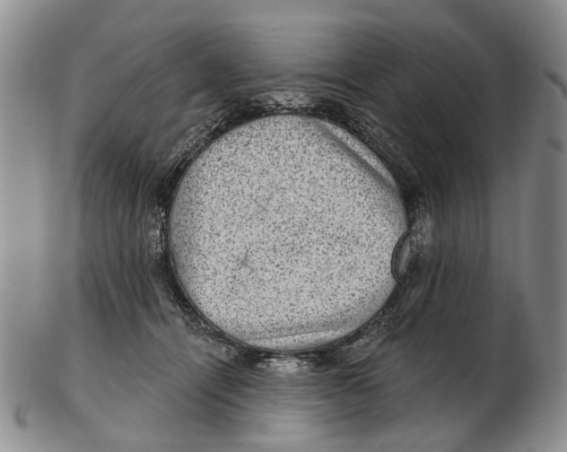 X0000102800464200809081116