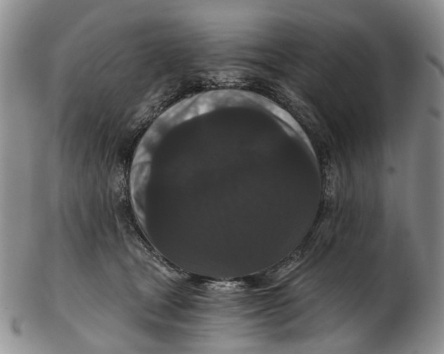 X0000102800465200809081116