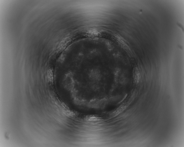 X0000102800467200809081116