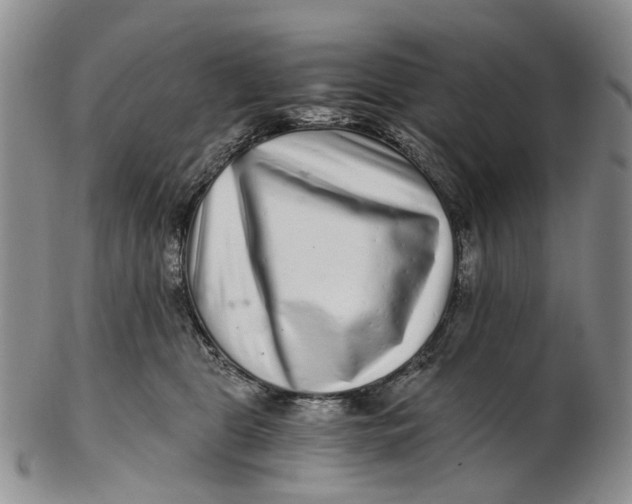 X0000102800469200809081116