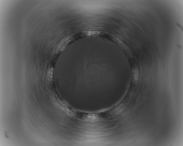 X0000102800475200809081116