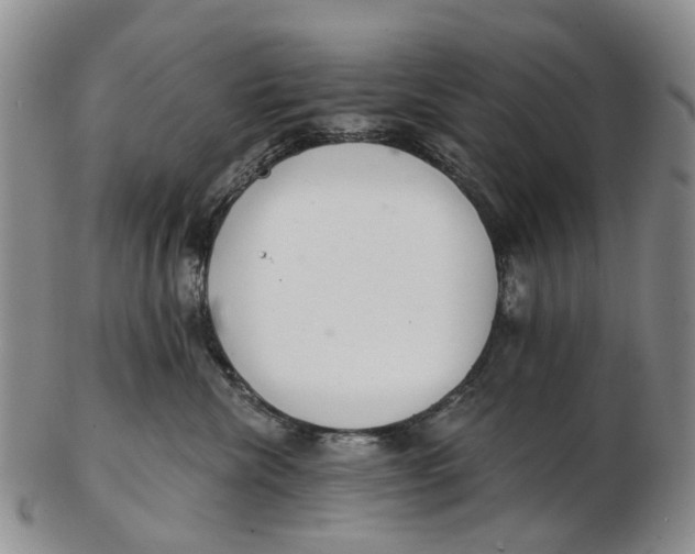 X0000102800476200809081116