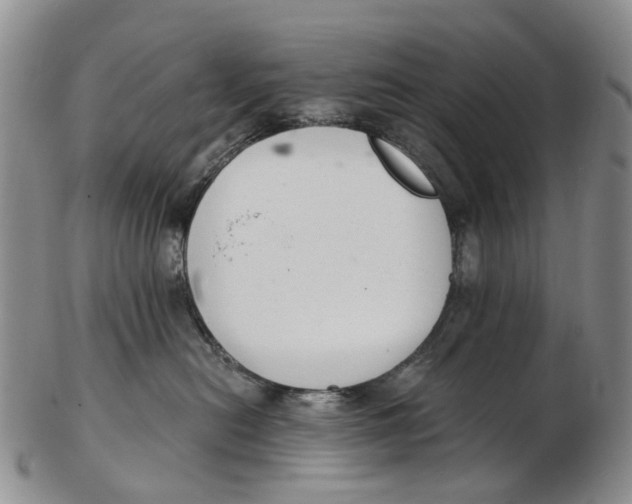 X0000102800478200809081116