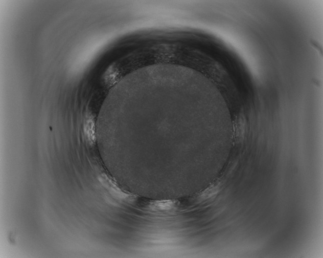 X0000102800479200809081116