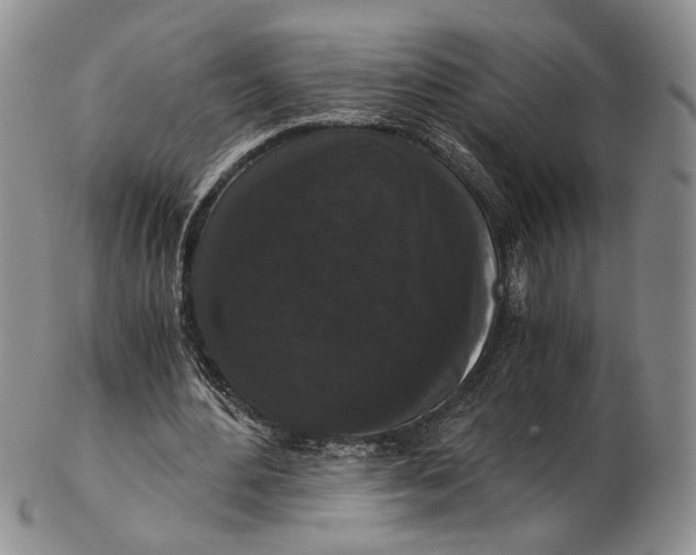 X0000102800484200809081115