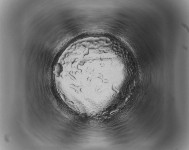 X0000102800487200809081115