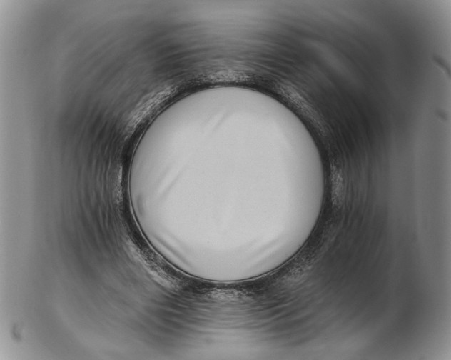 X0000102800490200809081115