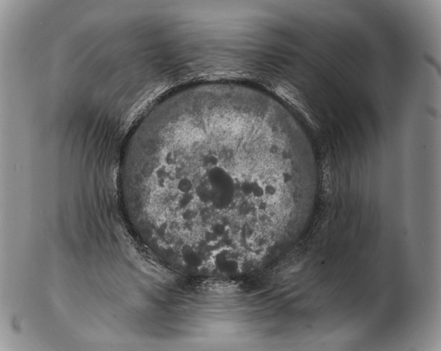 X0000102800491200809081115