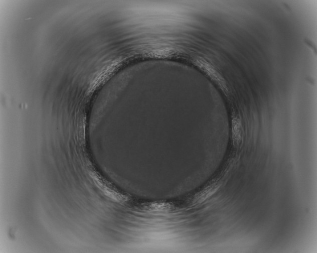 X0000102800493200809081115