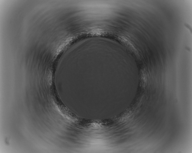 X0000102800496200809081115