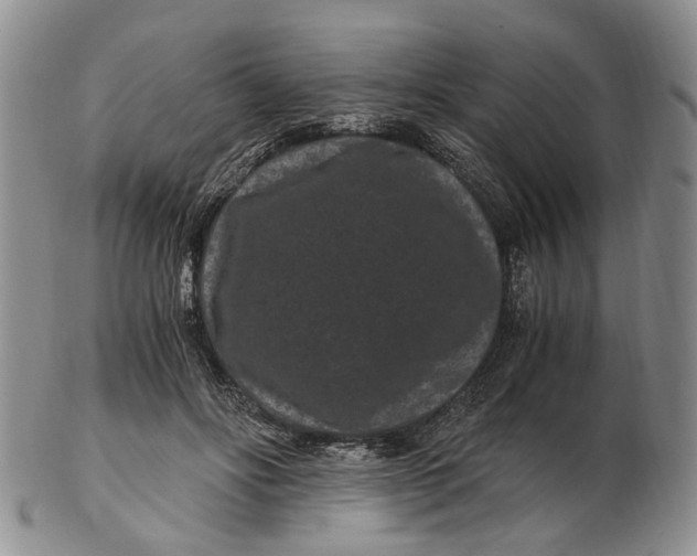 X0000102800502200809081115