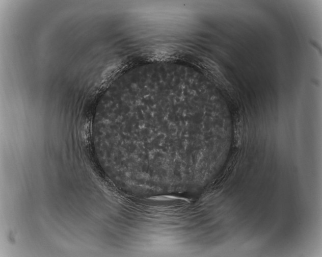 X0000102800503200809081115