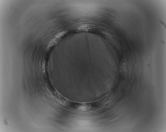 X0000102800504200809081115