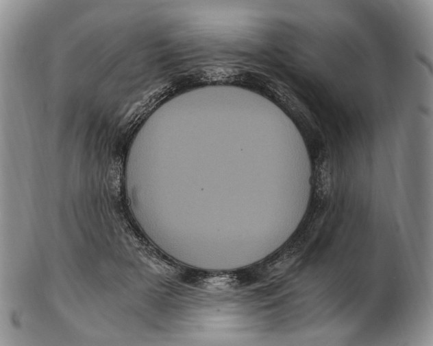 X0000102800505200809081115