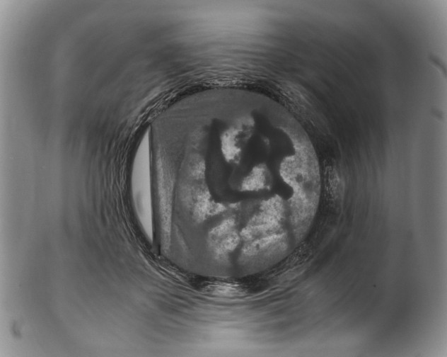 X0000102800507200809081115