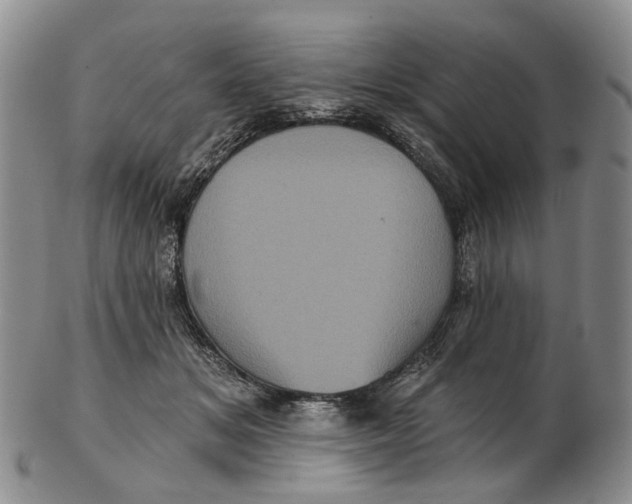 X0000102800509200809081115