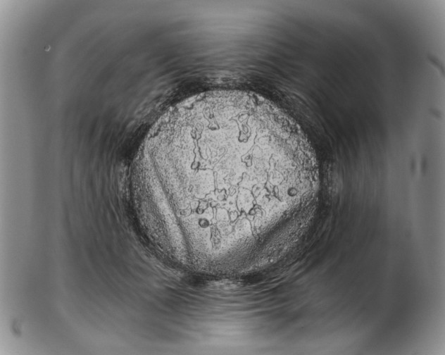 X0000102800511200809081115