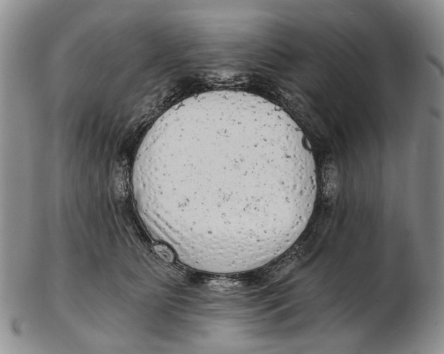 X0000102800515200809081115