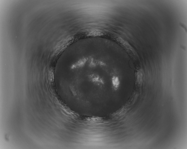 X0000102800517200809081115