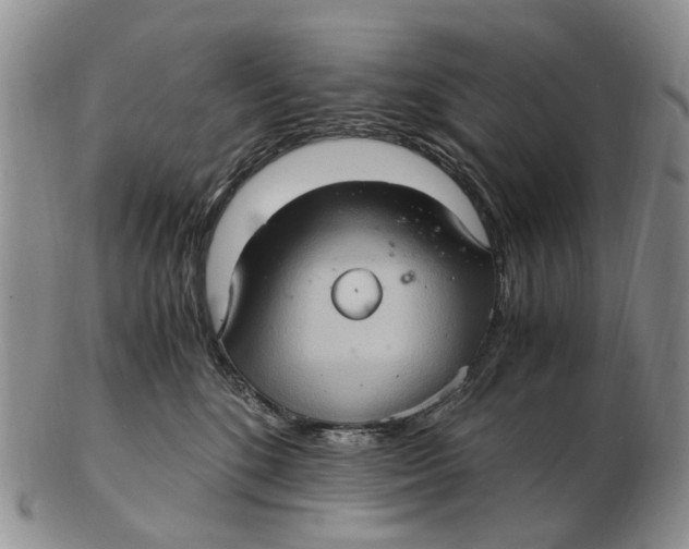 X0000102800520200809081115