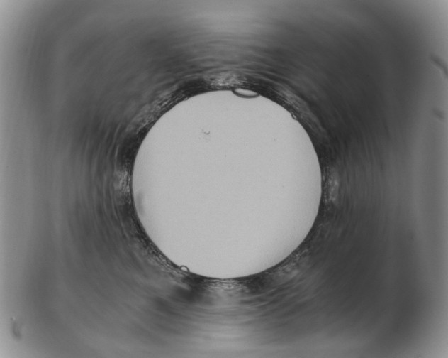 X0000102800521200809081115