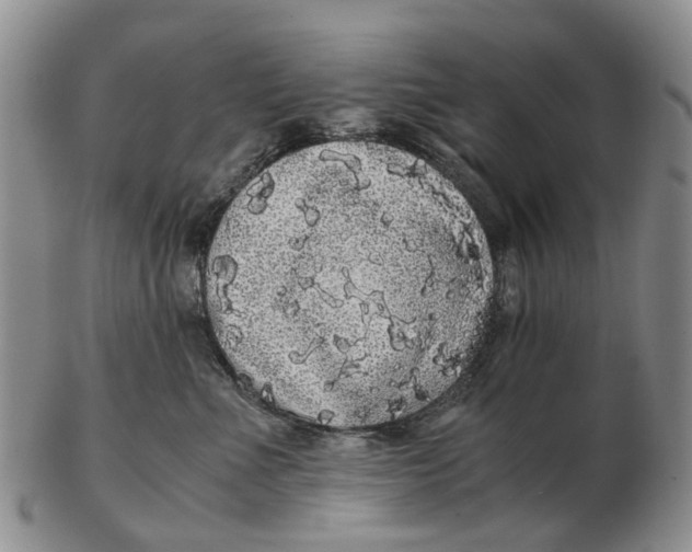 X0000102800523200809081115