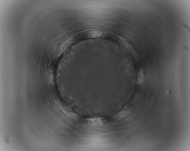 X0000102800524200809081115