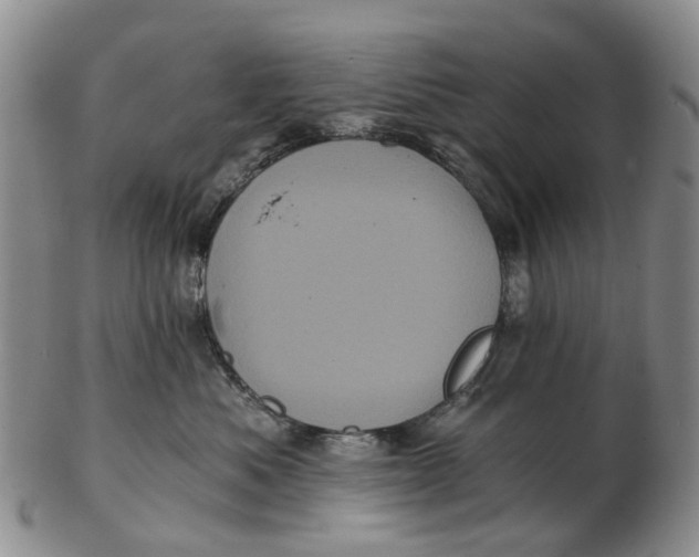 X0000102800525200809081115