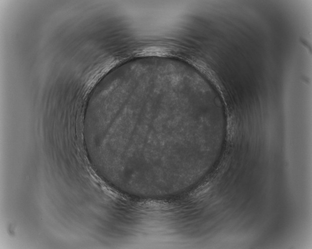 X0000102800529200809081114