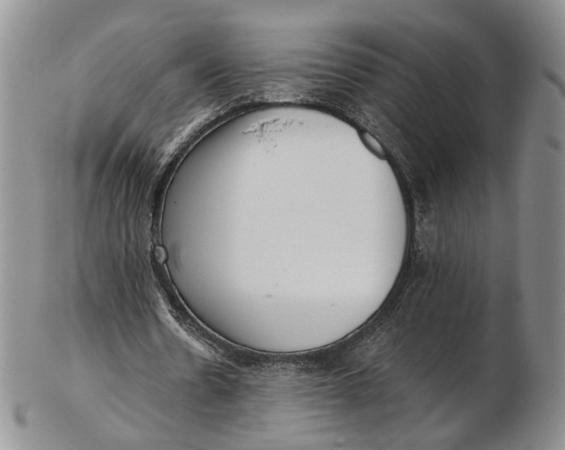 X0000102800530200809081114